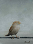vrouwmus op draadje op noot  5.0 x 6.5 cm