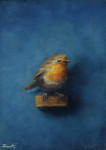 klein roodborstje op plankje  6.8 x 9.6 cm