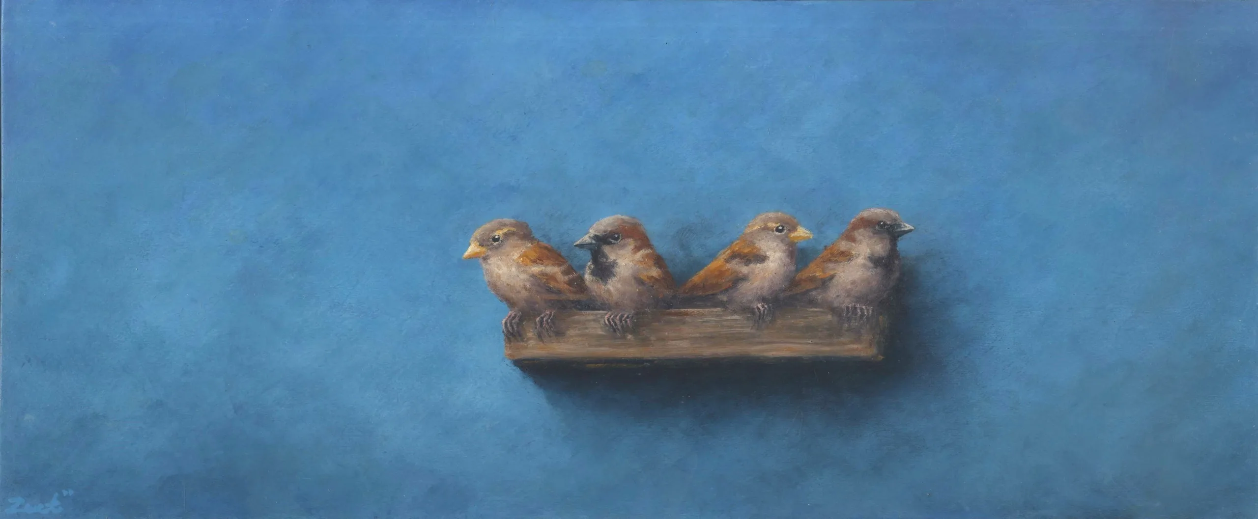 four sparrows on shelf on blue
