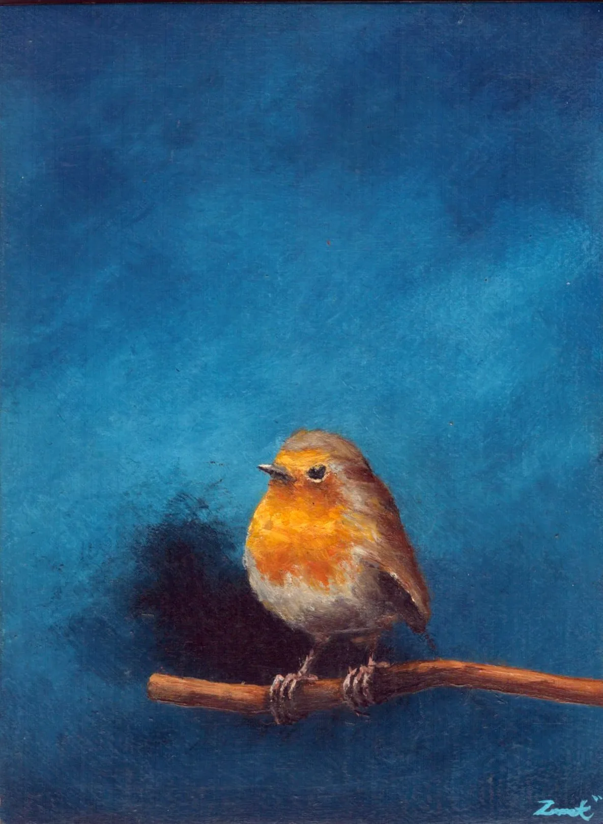 robin waits on branch on blue