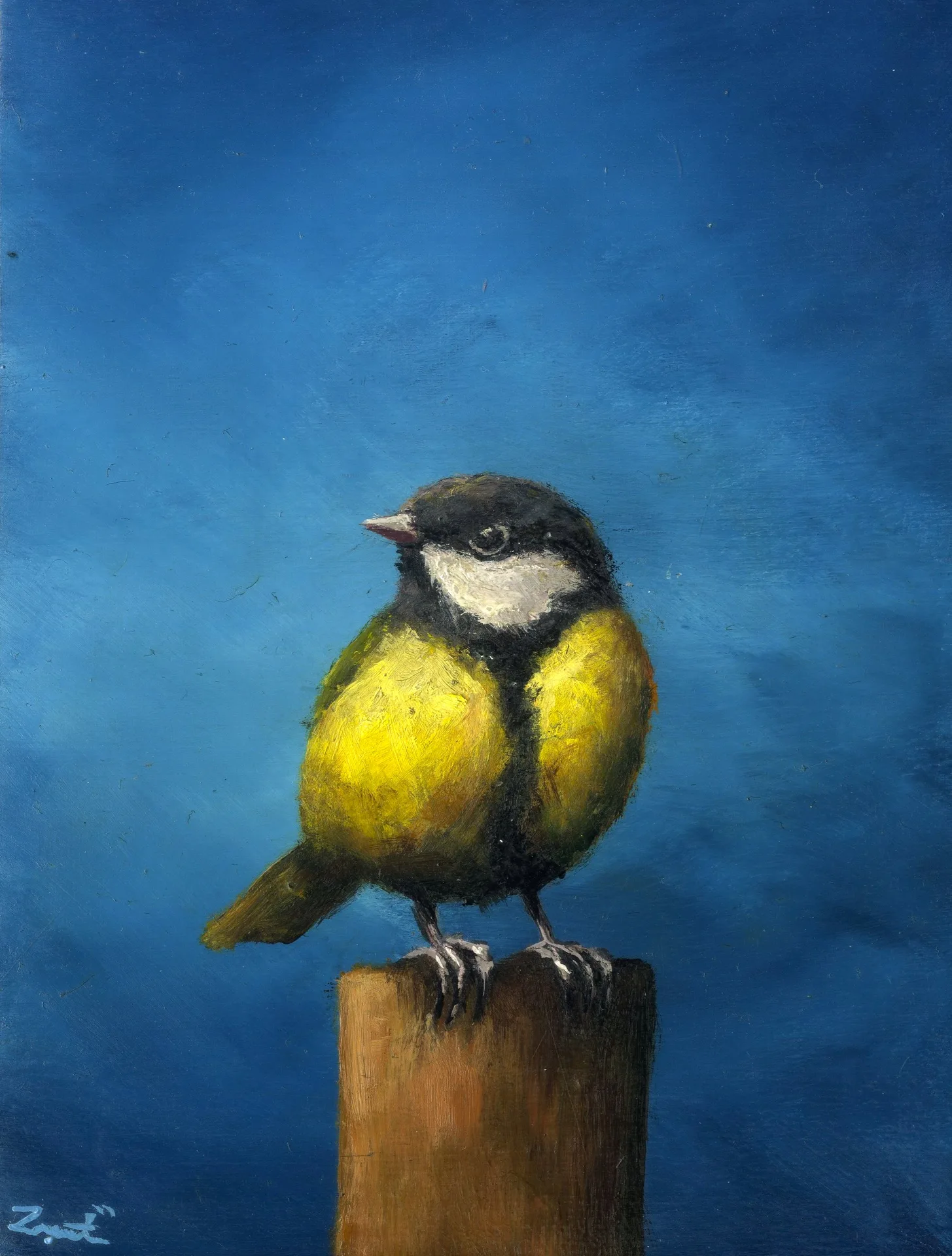 blue tit on post on blue
