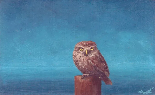 steenuil op blauw met horizon
